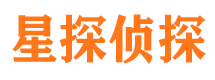 乡城侦探公司